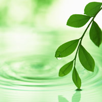 アデランス 無料体験に行ってきました【体験レポート】